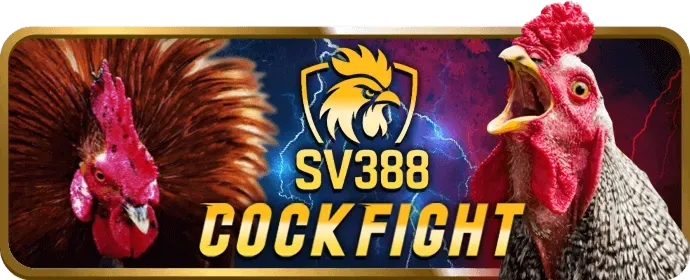 Chính sách hoàn trả thể thao cao nhất tại TV88